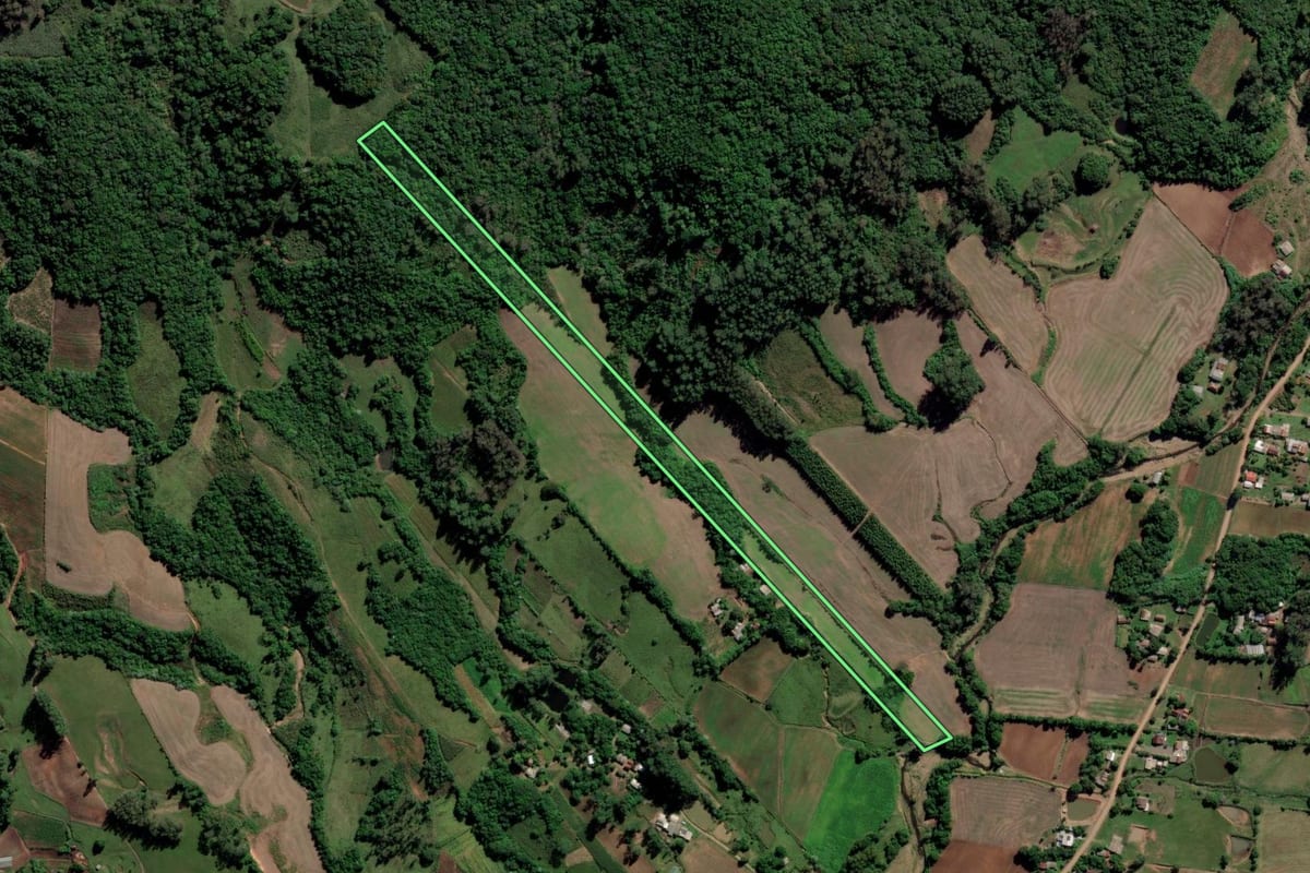Imagem de satélite do imóvel rural em Paraíso do Sul (RS), com o contorno declarado no CAR desenhado por cima.