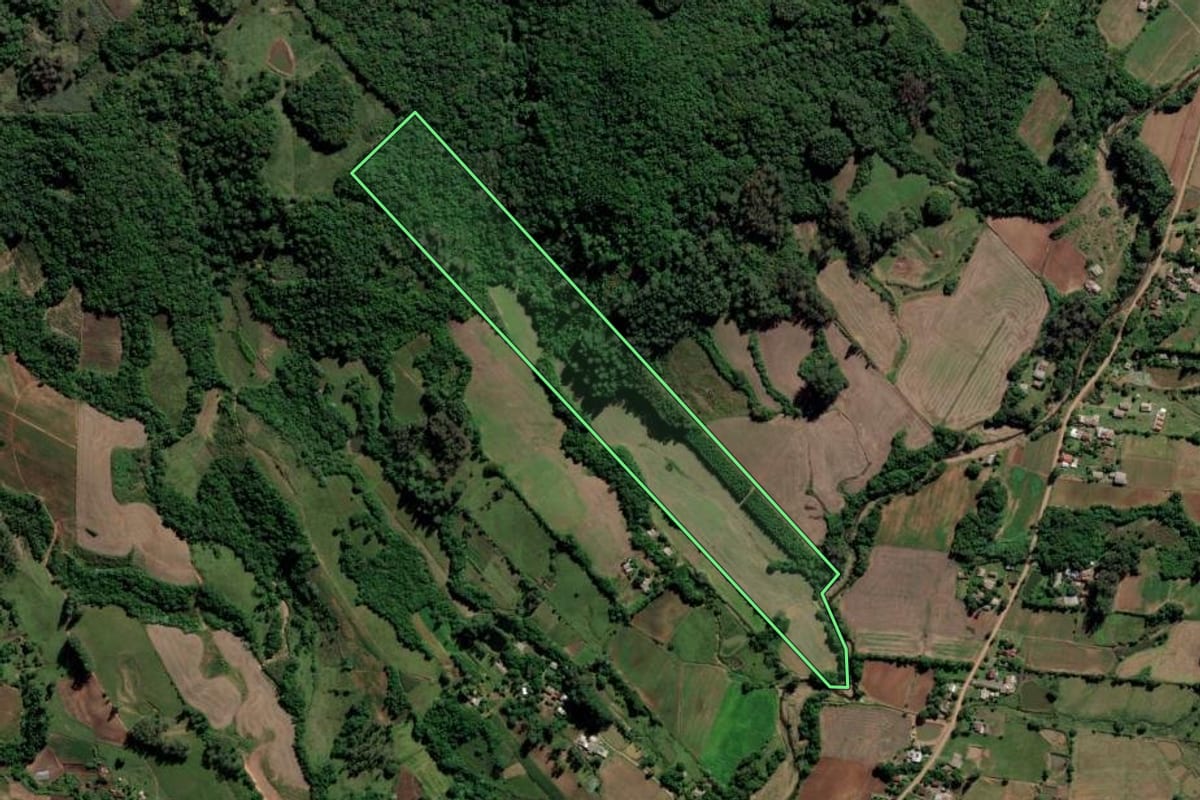 Imagem de satélite do imóvel rural em Paraíso do Sul (RS), com o contorno declarado no CAR desenhado por cima.