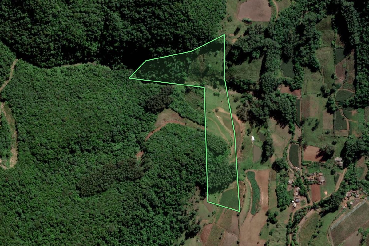 Imagem de satélite do imóvel rural em Paraíso do Sul (RS), com o contorno declarado no CAR desenhado por cima.