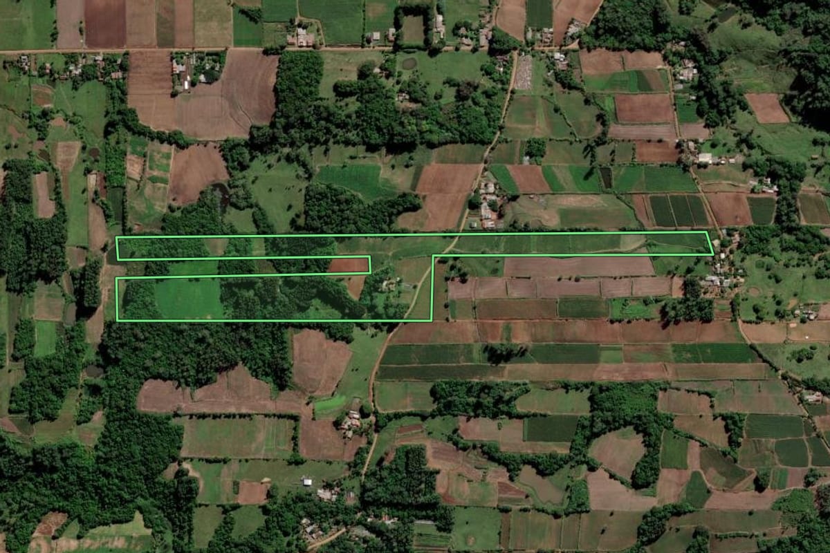 Imagem de satélite do imóvel rural em Paraíso do Sul (RS), com o contorno declarado no CAR desenhado por cima.