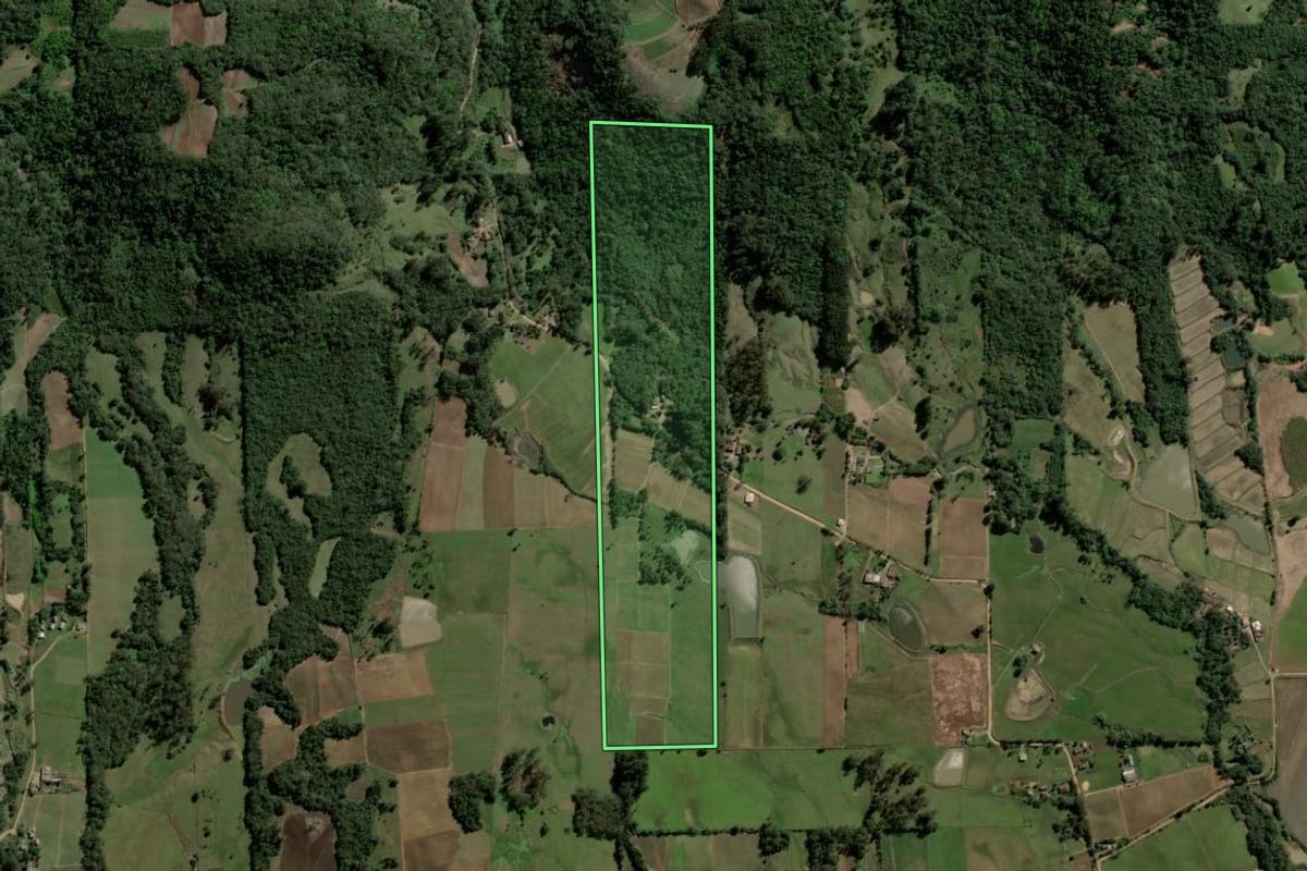 Imagem de satélite do imóvel rural em Paraíso do Sul (RS), com o contorno declarado no CAR desenhado por cima.