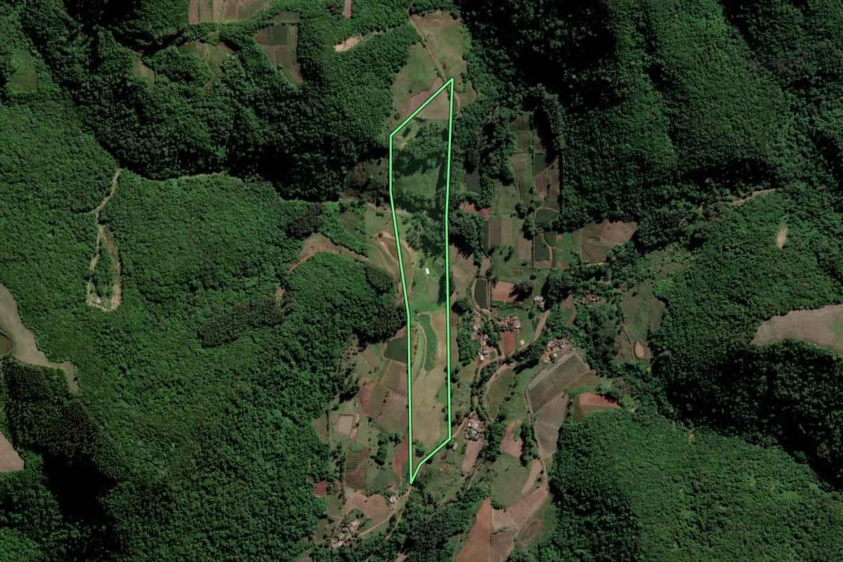 Imagem de satélite do imóvel rural em Paraíso do Sul (RS), com o contorno declarado no CAR desenhado por cima.