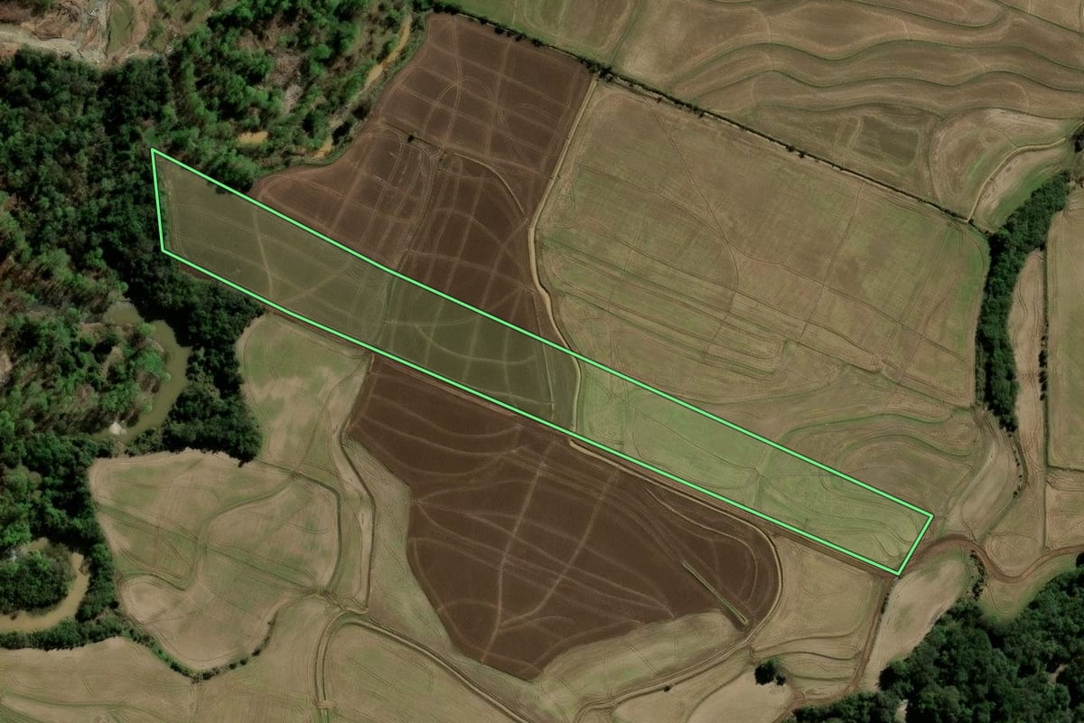 Imagem de satélite do imóvel rural em Paraíso do Sul (RS), com o contorno declarado no CAR desenhado por cima.