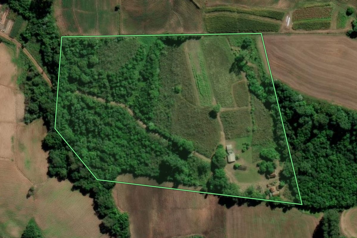 Imagem de satélite do imóvel rural em Paraíso do Sul (RS), com o contorno declarado no CAR desenhado por cima.