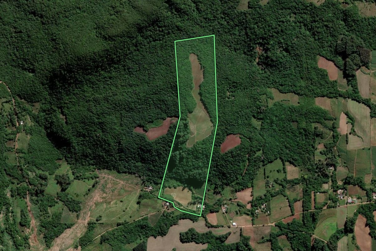 Imagem de satélite do imóvel rural em Paraíso do Sul (RS), com o contorno declarado no CAR desenhado por cima.