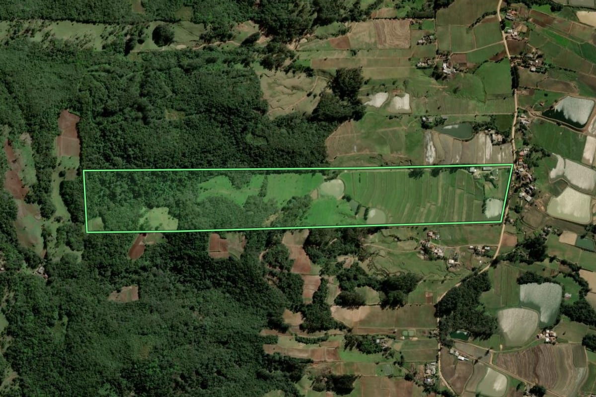 Imagem de satélite do imóvel rural em Paraíso do Sul (RS), com o contorno declarado no CAR desenhado por cima.