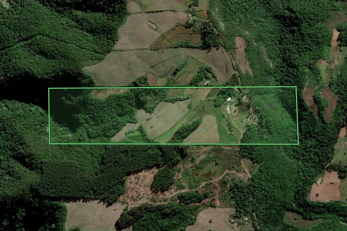Imagem de satélite do imóvel rural em Paraíso do Sul (RS), com o contorno declarado no CAR desenhado por cima.