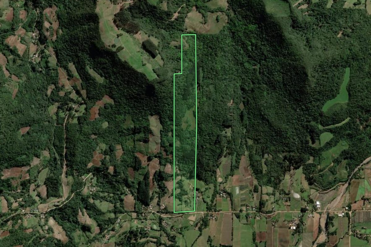 Imagem de satélite do imóvel rural em Paraíso do Sul (RS), com o contorno declarado no CAR desenhado por cima.