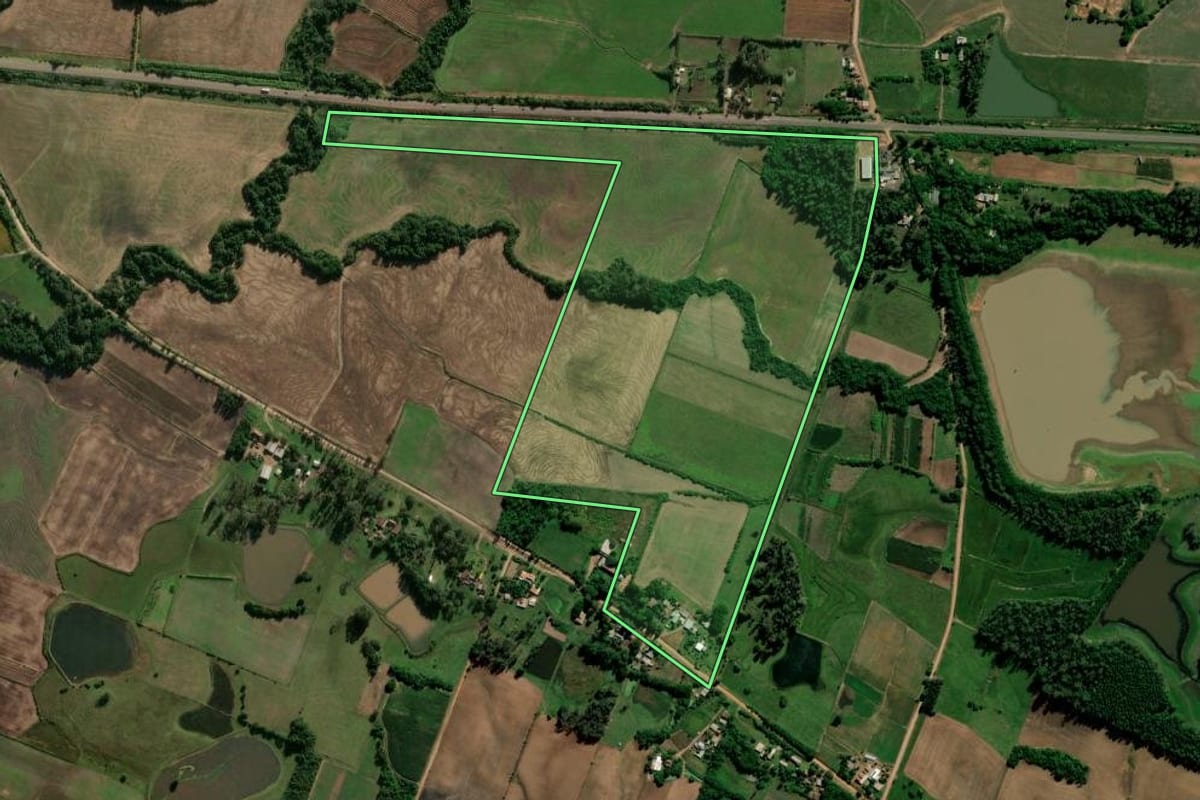 Imagem de satélite do imóvel rural em Paraíso do Sul (RS), com o contorno declarado no CAR desenhado por cima.