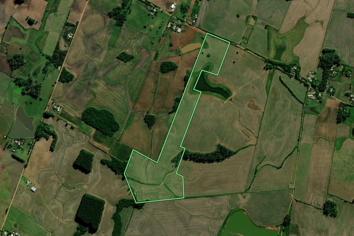 Imagem de satélite do imóvel rural em Paraíso do Sul (RS), com o contorno declarado no CAR desenhado por cima.