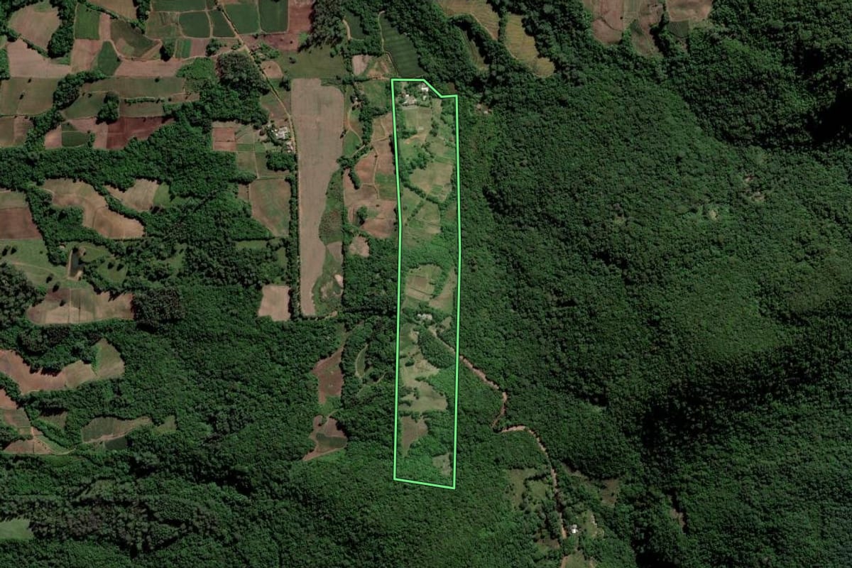 Imagem de satélite do imóvel rural em Paraíso do Sul (RS), com o contorno declarado no CAR desenhado por cima.