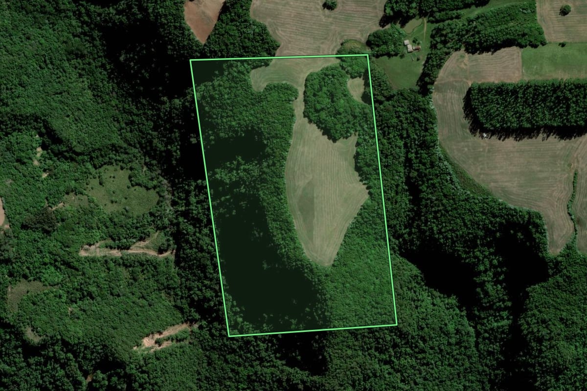 Imagem de satélite do imóvel rural em Paraíso do Sul (RS), com o contorno declarado no CAR desenhado por cima.