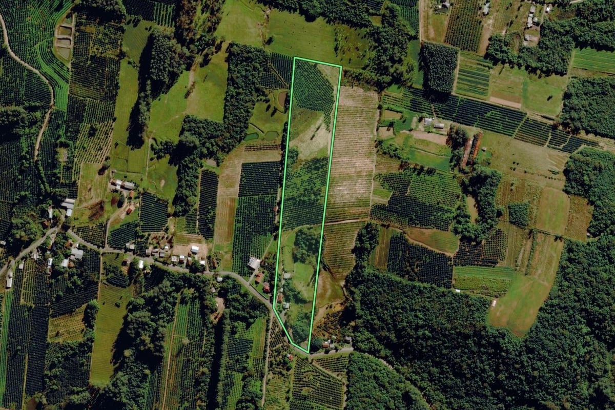 Imagem de satélite do imóvel rural em Pareci Novo (RS), com o contorno declarado no CAR desenhado por cima.