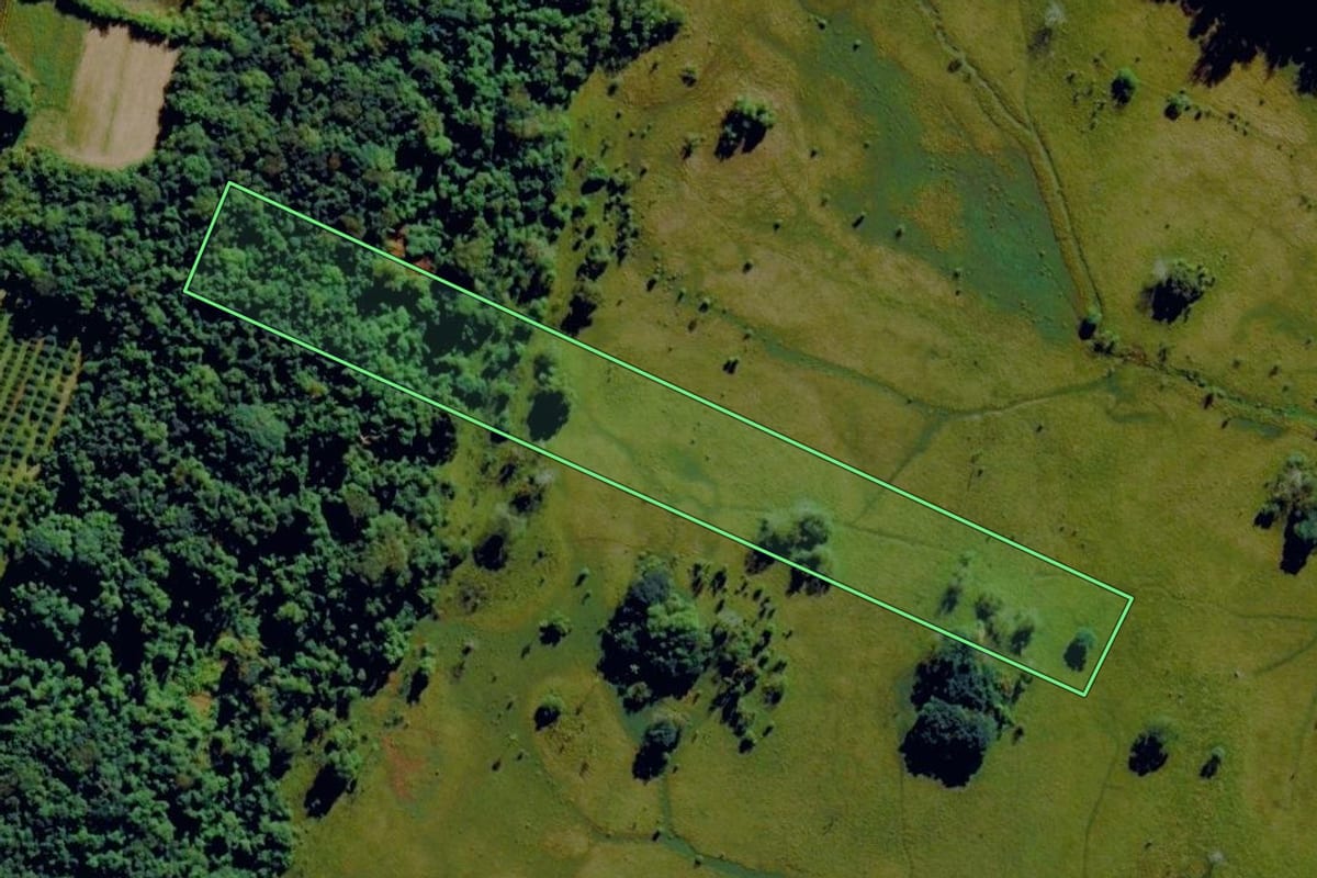 Imagem de satélite do imóvel rural em Pareci Novo (RS), com o contorno declarado no CAR desenhado por cima.