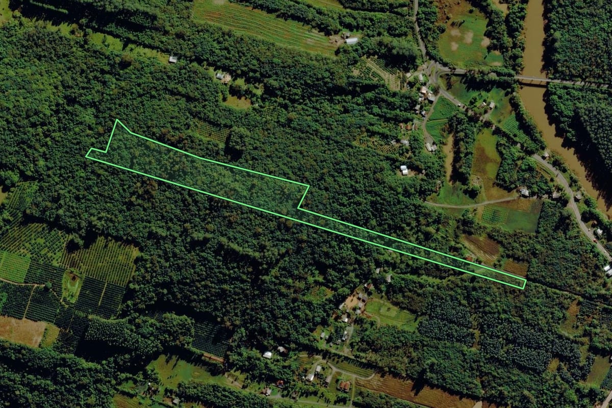 Imagem de satélite do imóvel rural em Pareci Novo (RS), com o contorno declarado no CAR desenhado por cima.