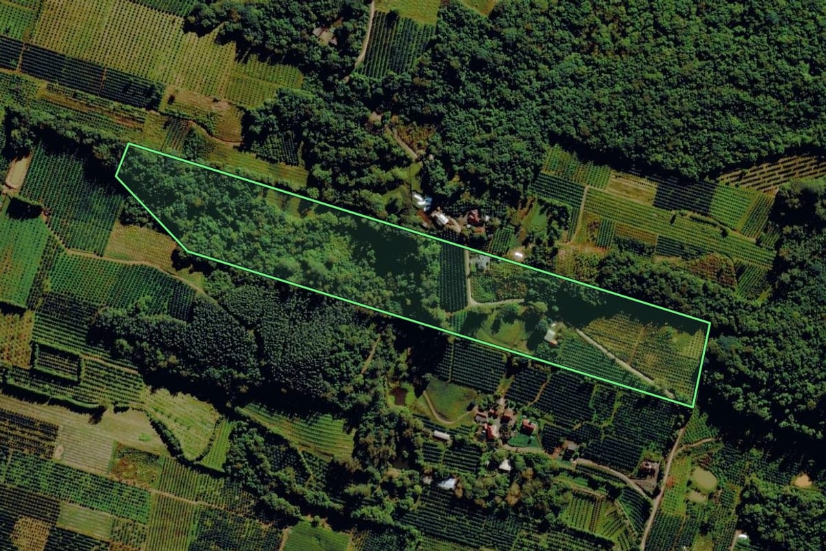 Imagem de satélite do imóvel rural em Pareci Novo (RS), com o contorno declarado no CAR desenhado por cima.
