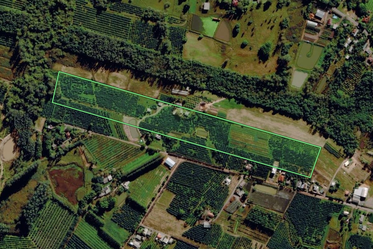Imagem de satélite do imóvel rural em Pareci Novo (RS), com o contorno declarado no CAR desenhado por cima.