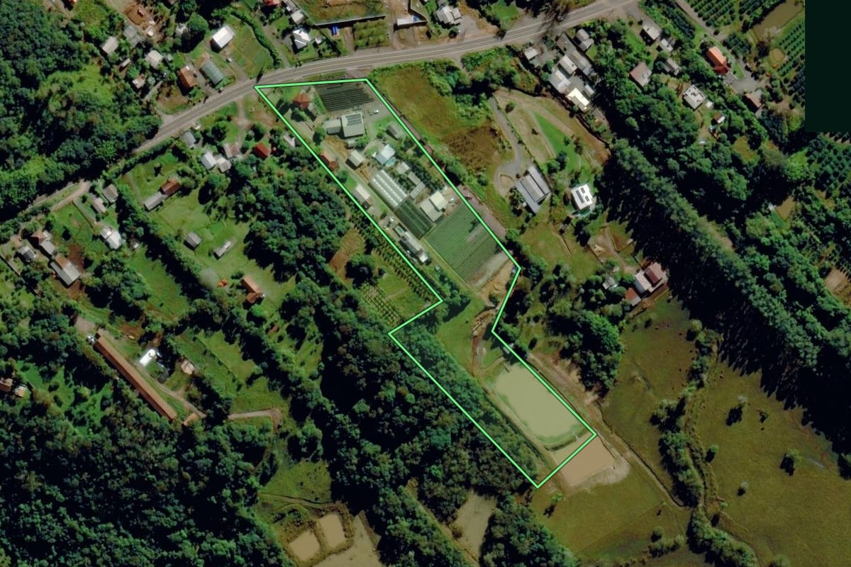Imagem de satélite do imóvel rural em Pareci Novo (RS), com o contorno declarado no CAR desenhado por cima.