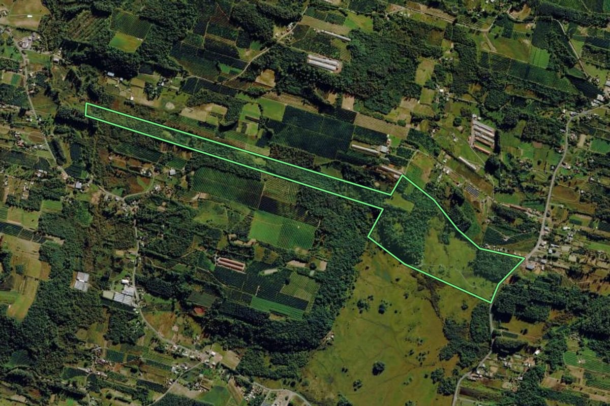 Imagem de satélite do imóvel rural em Pareci Novo (RS), com o contorno declarado no CAR desenhado por cima.