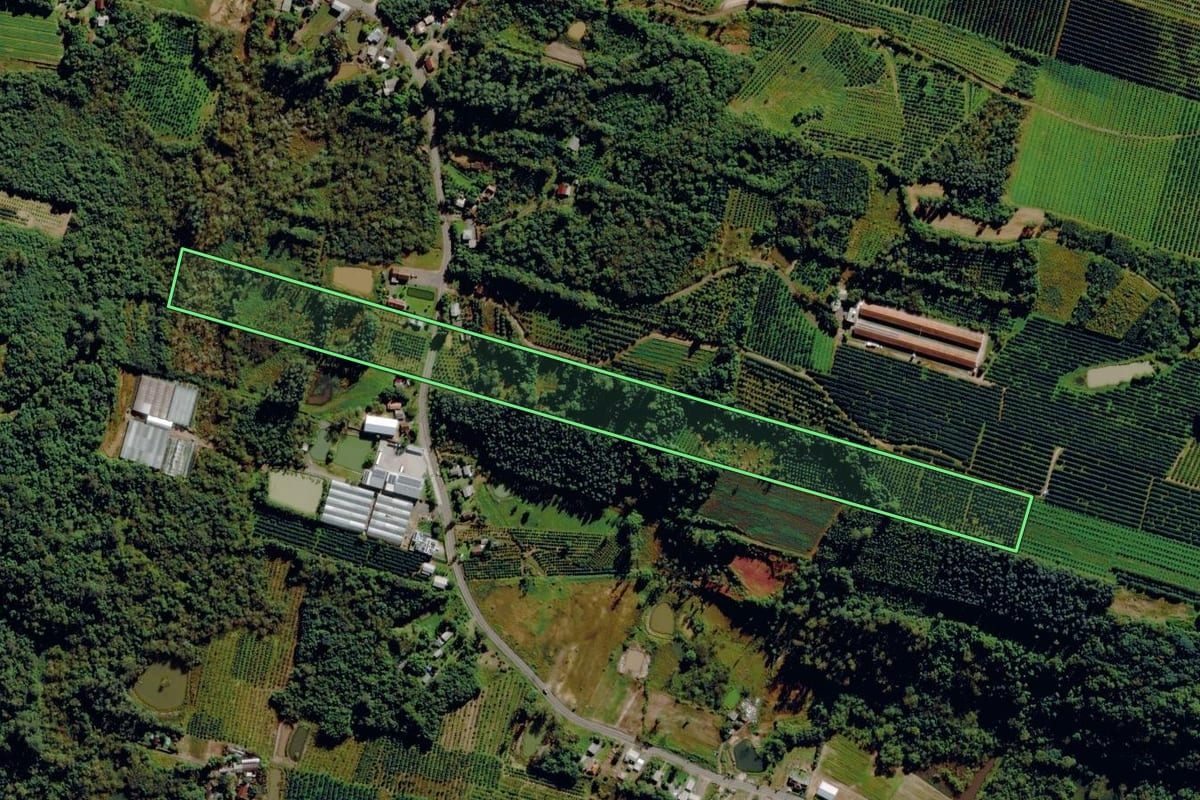 Imagem de satélite do imóvel rural em Pareci Novo (RS), com o contorno declarado no CAR desenhado por cima.
