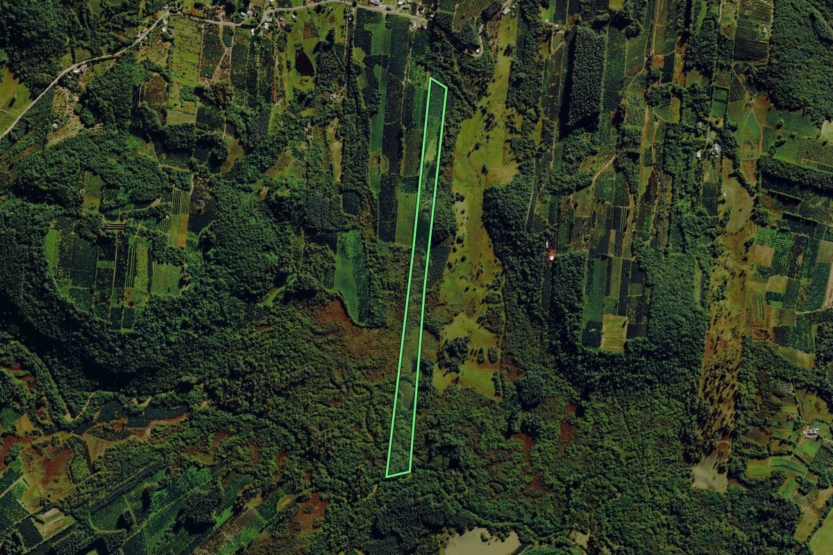 Imagem de satélite do imóvel rural em Pareci Novo (RS), com o contorno declarado no CAR desenhado por cima.