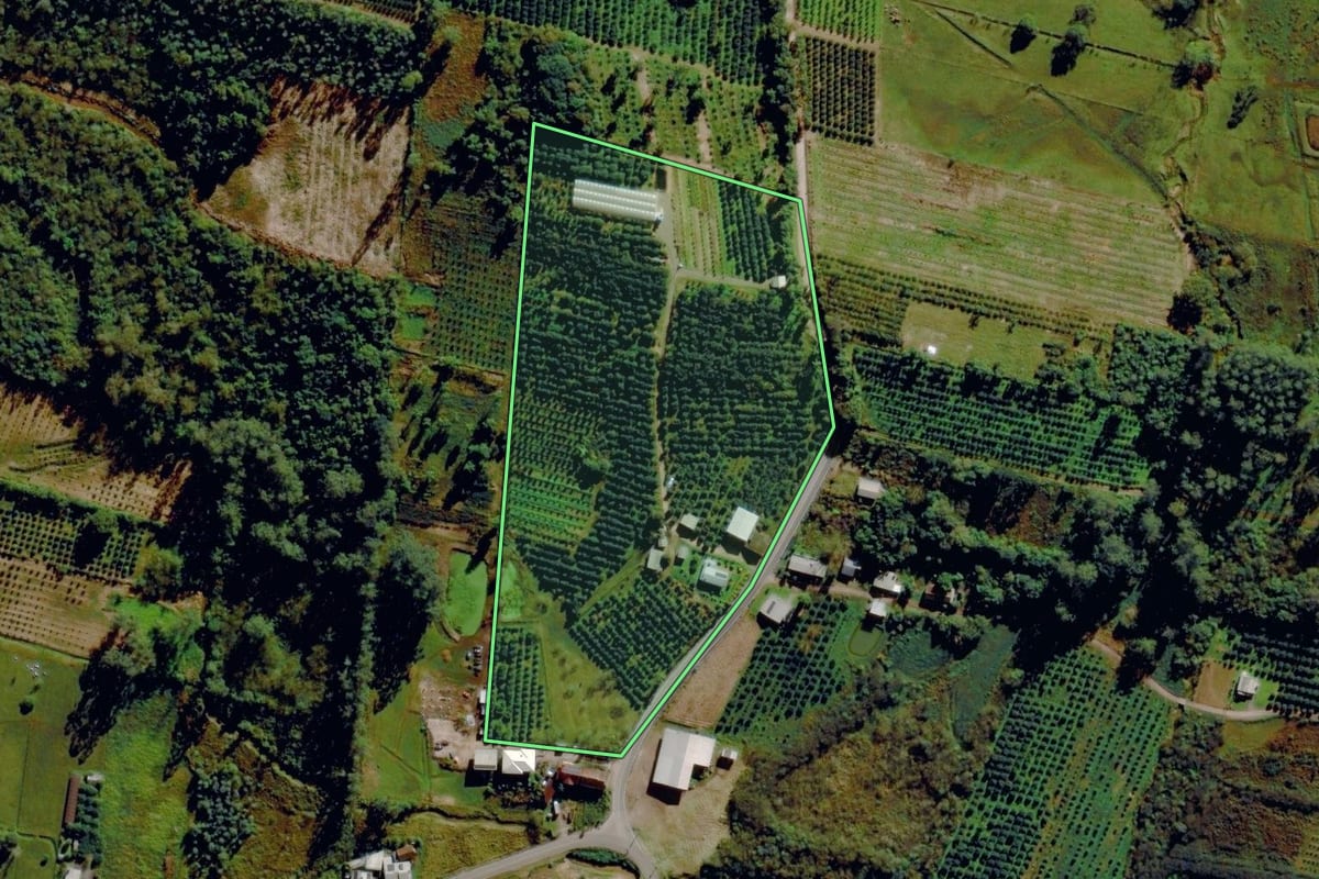 Imagem de satélite do imóvel rural em Pareci Novo (RS), com o contorno declarado no CAR desenhado por cima.