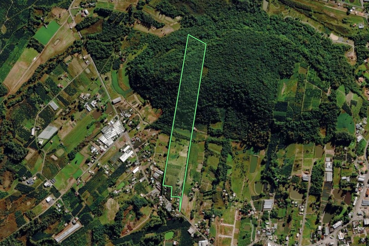 Imagem de satélite do imóvel rural em Pareci Novo (RS), com o contorno declarado no CAR desenhado por cima.