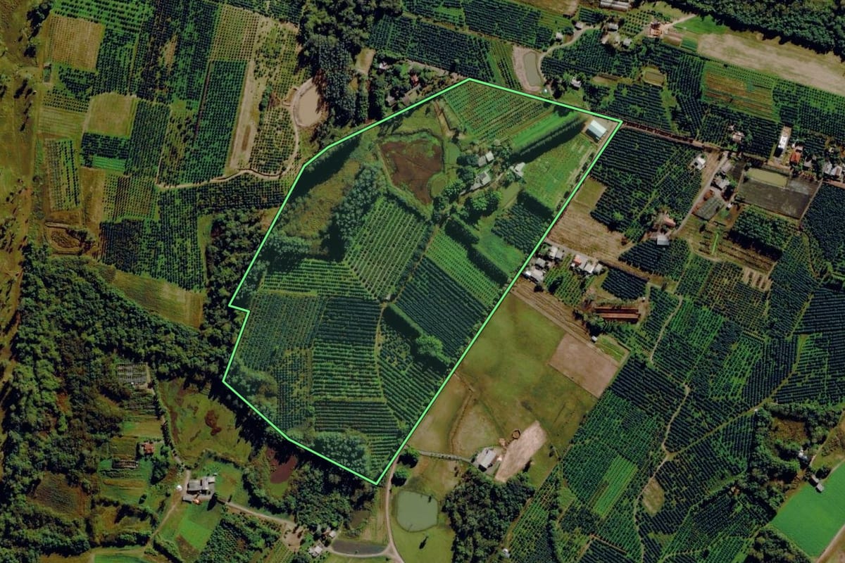 Imagem de satélite do imóvel rural em Pareci Novo (RS), com o contorno declarado no CAR desenhado por cima.