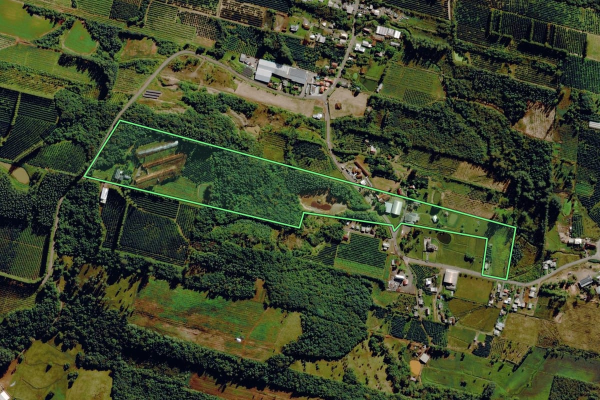 Imagem de satélite do imóvel rural em Pareci Novo (RS), com o contorno declarado no CAR desenhado por cima.