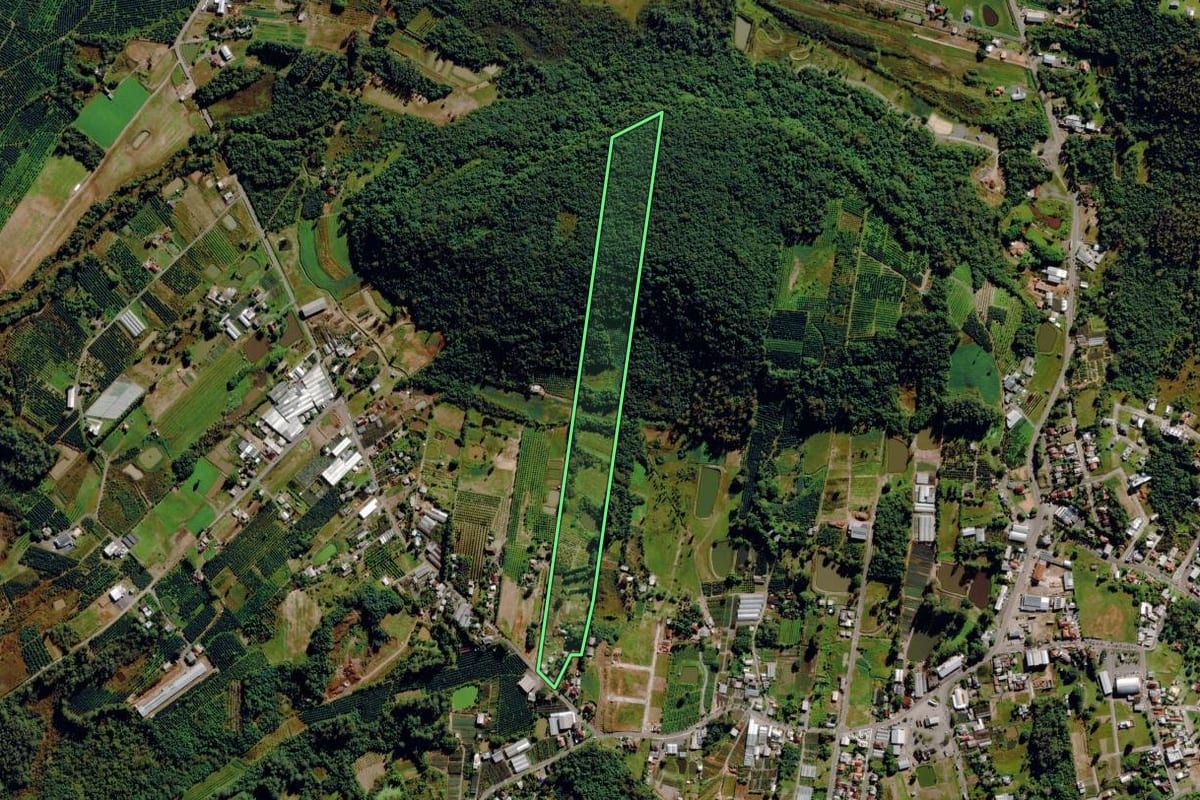 Imagem de satélite do imóvel rural em Pareci Novo (RS), com o contorno declarado no CAR desenhado por cima.
