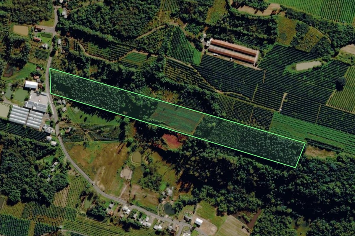Imagem de satélite do imóvel rural em Pareci Novo (RS), com o contorno declarado no CAR desenhado por cima.