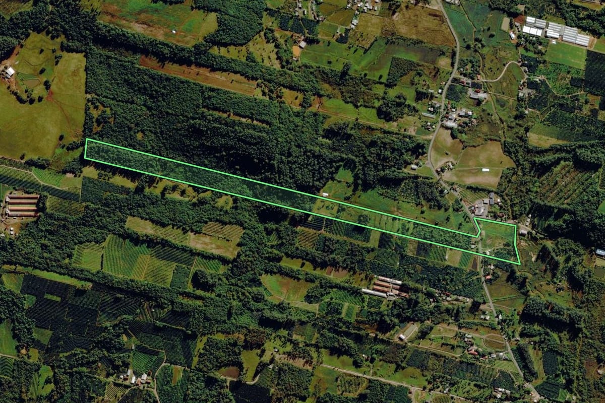 Imagem de satélite do imóvel rural em Pareci Novo (RS), com o contorno declarado no CAR desenhado por cima.