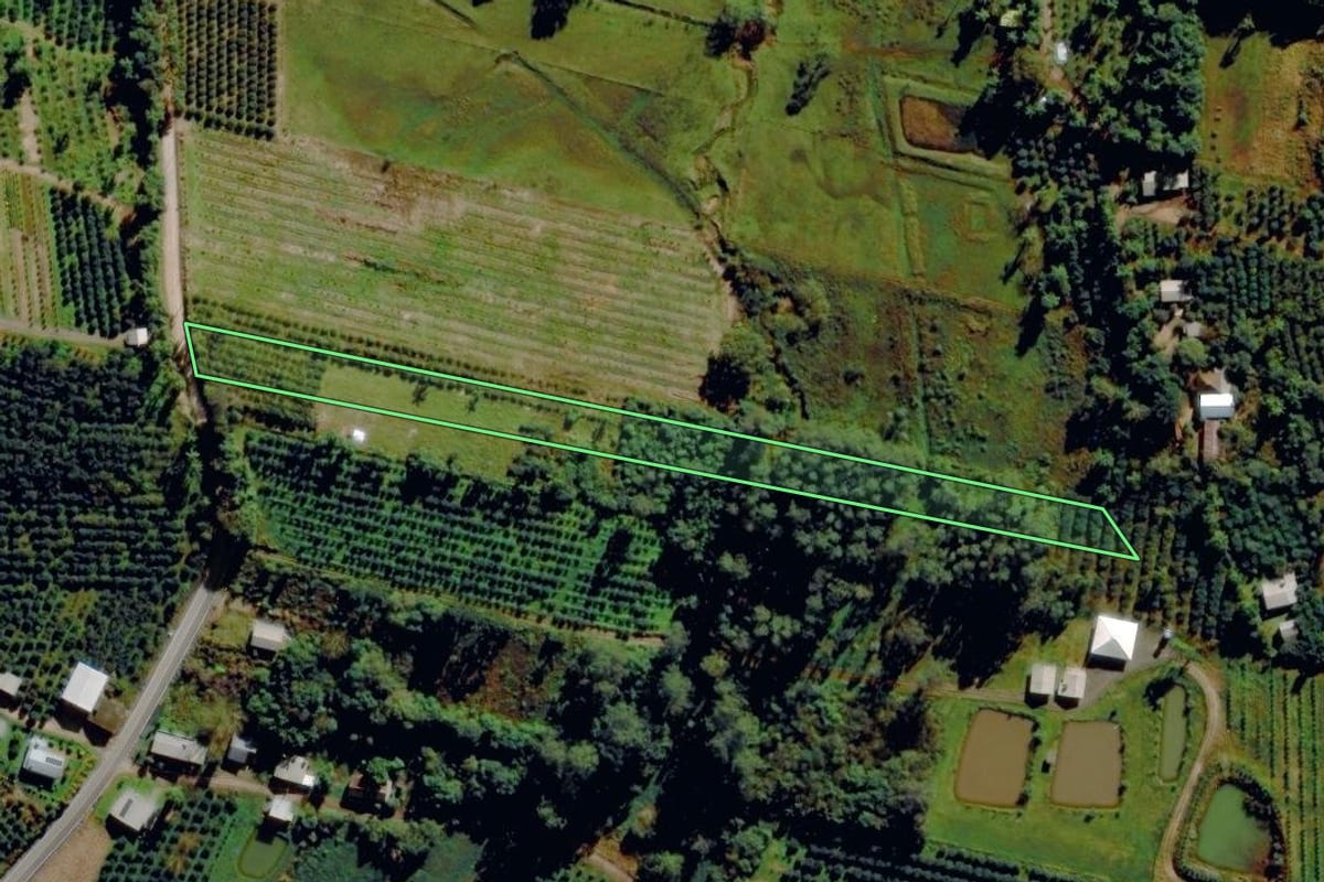 Imagem de satélite do imóvel rural em Pareci Novo (RS), com o contorno declarado no CAR desenhado por cima.