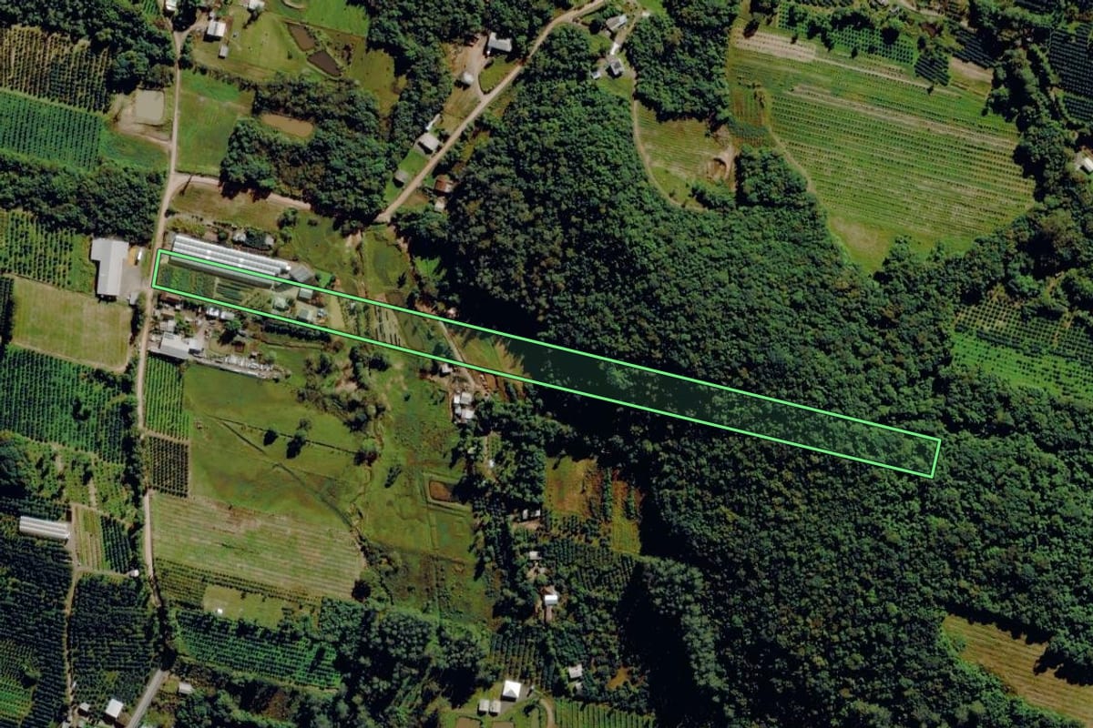 Imagem de satélite do imóvel rural em Pareci Novo (RS), com o contorno declarado no CAR desenhado por cima.