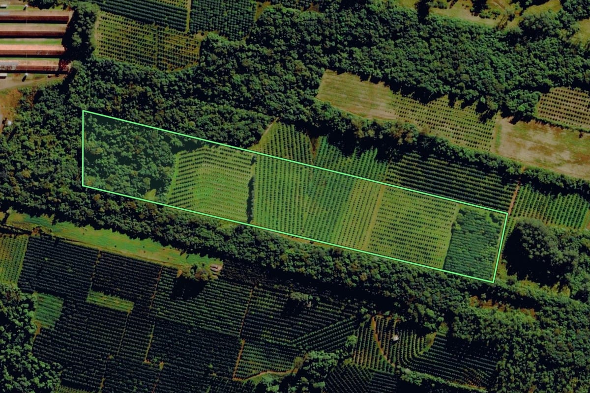 Imagem de satélite do imóvel rural em Pareci Novo (RS), com o contorno declarado no CAR desenhado por cima.