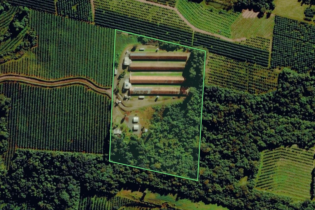 Imagem de satélite do imóvel rural em Pareci Novo (RS), com o contorno declarado no CAR desenhado por cima.
