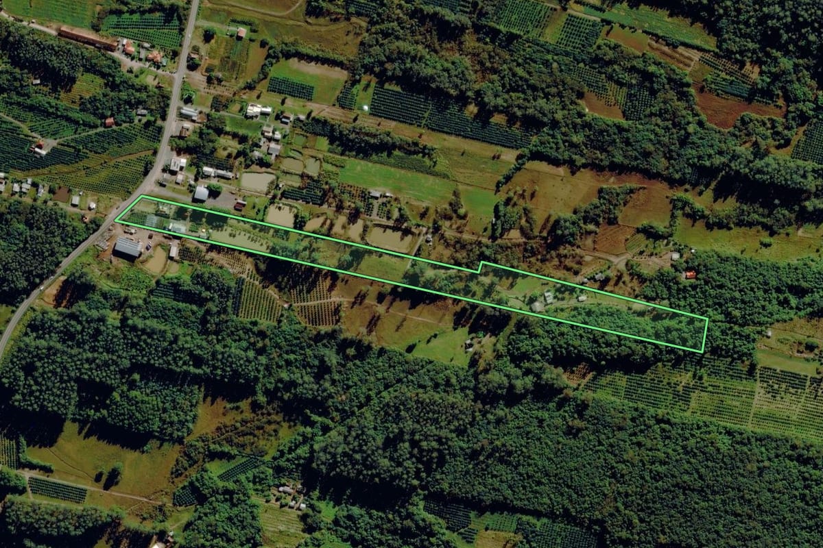 Imagem de satélite do imóvel rural em Pareci Novo (RS), com o contorno declarado no CAR desenhado por cima.