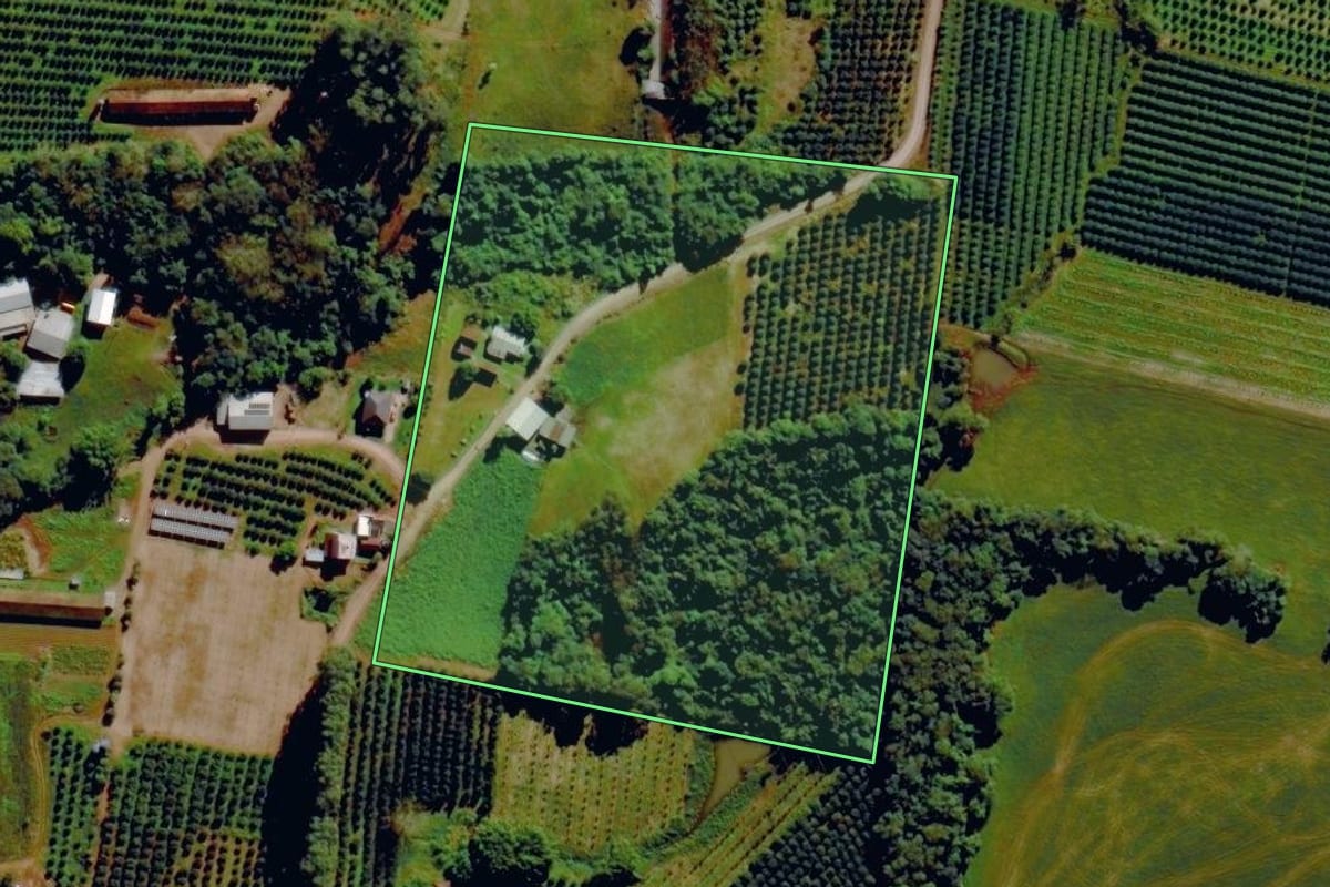 Imagem de satélite do imóvel rural em Pareci Novo (RS), com o contorno declarado no CAR desenhado por cima.