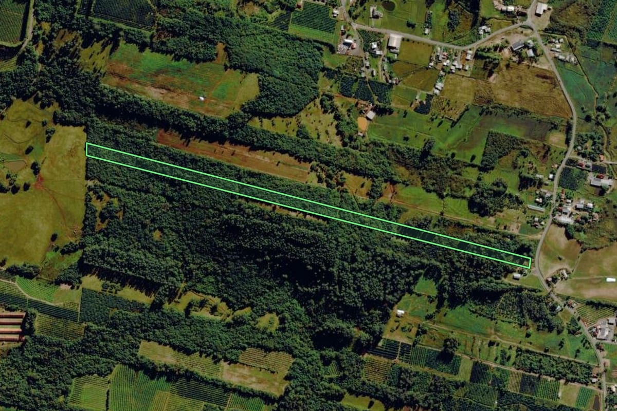 Imagem de satélite do imóvel rural em Pareci Novo (RS), com o contorno declarado no CAR desenhado por cima.