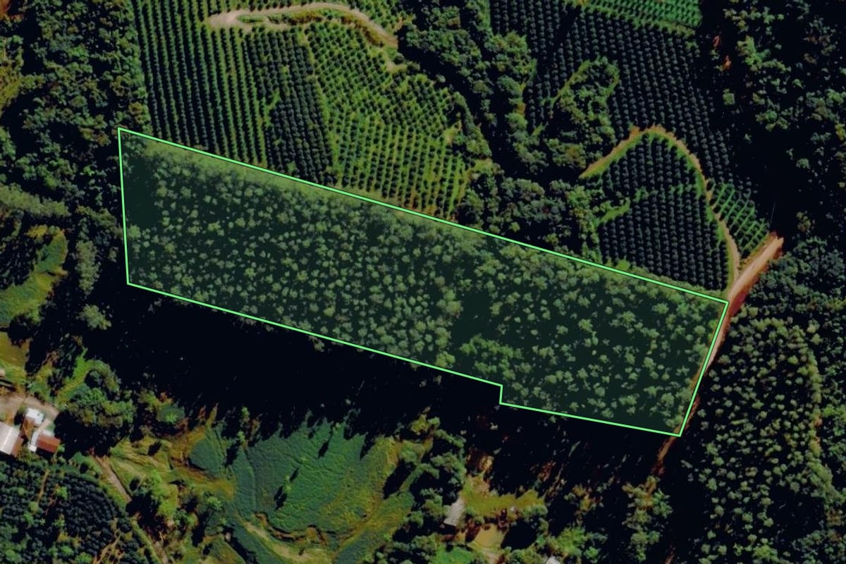 Imagem de satélite do imóvel rural em Pareci Novo (RS), com o contorno declarado no CAR desenhado por cima.