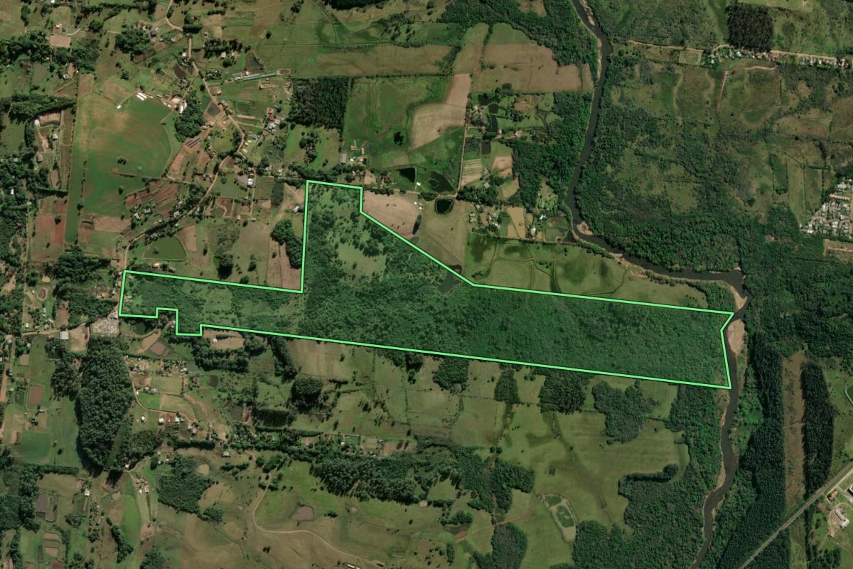 Imagem de satélite do imóvel rural em Parobé (RS), com o contorno declarado no CAR desenhado por cima.