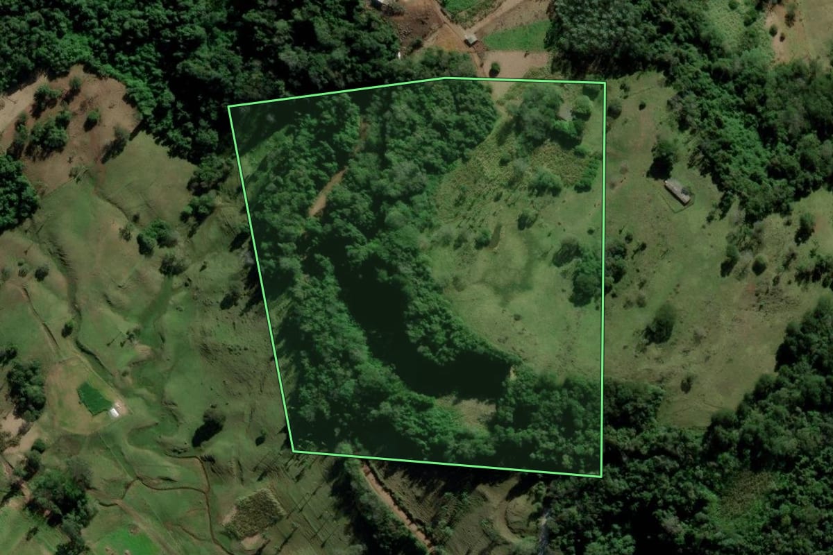 Imagem de satélite do imóvel rural em Parobé (RS), com o contorno declarado no CAR desenhado por cima.