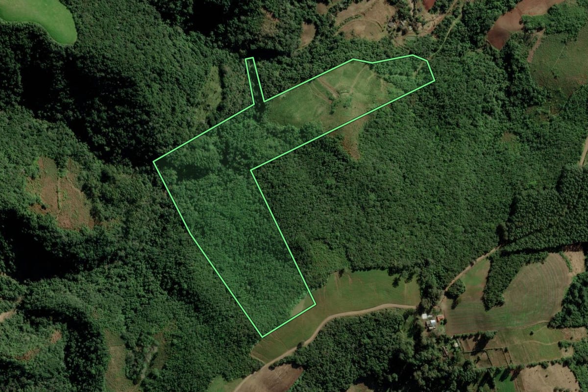 Imagem de satélite do imóvel rural em Passa Sete (RS), com o contorno declarado no CAR desenhado por cima.
