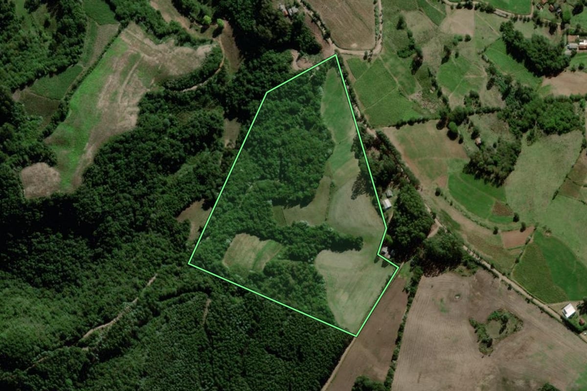Imagem de satélite do imóvel rural em Passa Sete (RS), com o contorno declarado no CAR desenhado por cima.