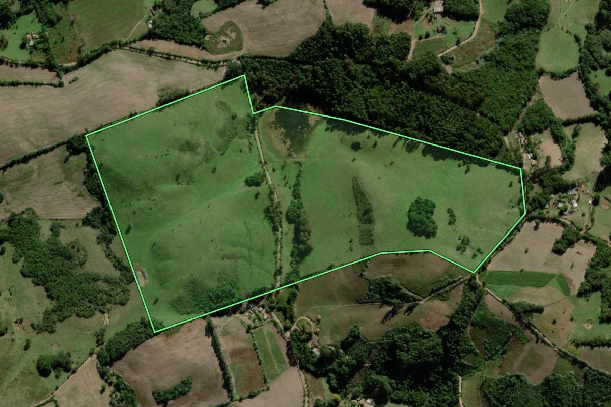 Imagem de satélite do imóvel rural em Passa Sete (RS), com o contorno declarado no CAR desenhado por cima.