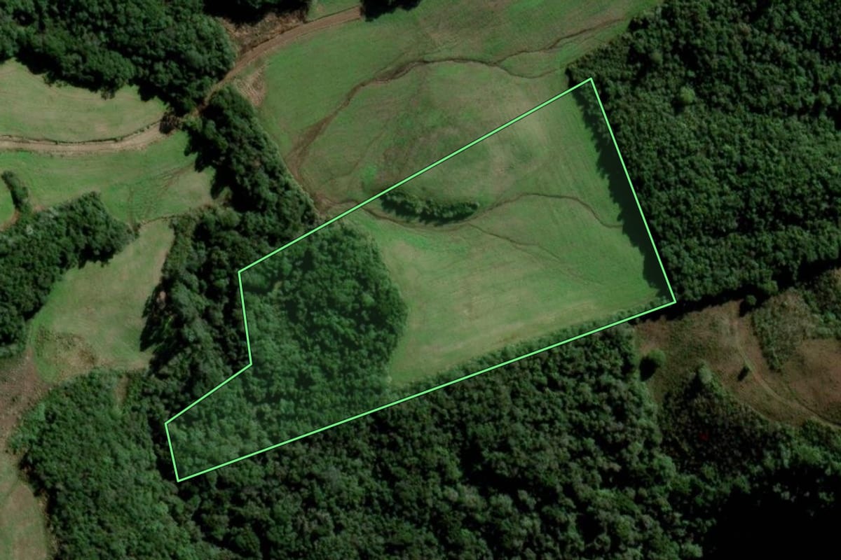 Imagem de satélite do imóvel rural em Passa Sete (RS), com o contorno declarado no CAR desenhado por cima.