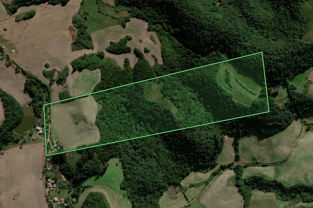 Imagem de satélite do imóvel rural em Passa Sete (RS), com o contorno declarado no CAR desenhado por cima.