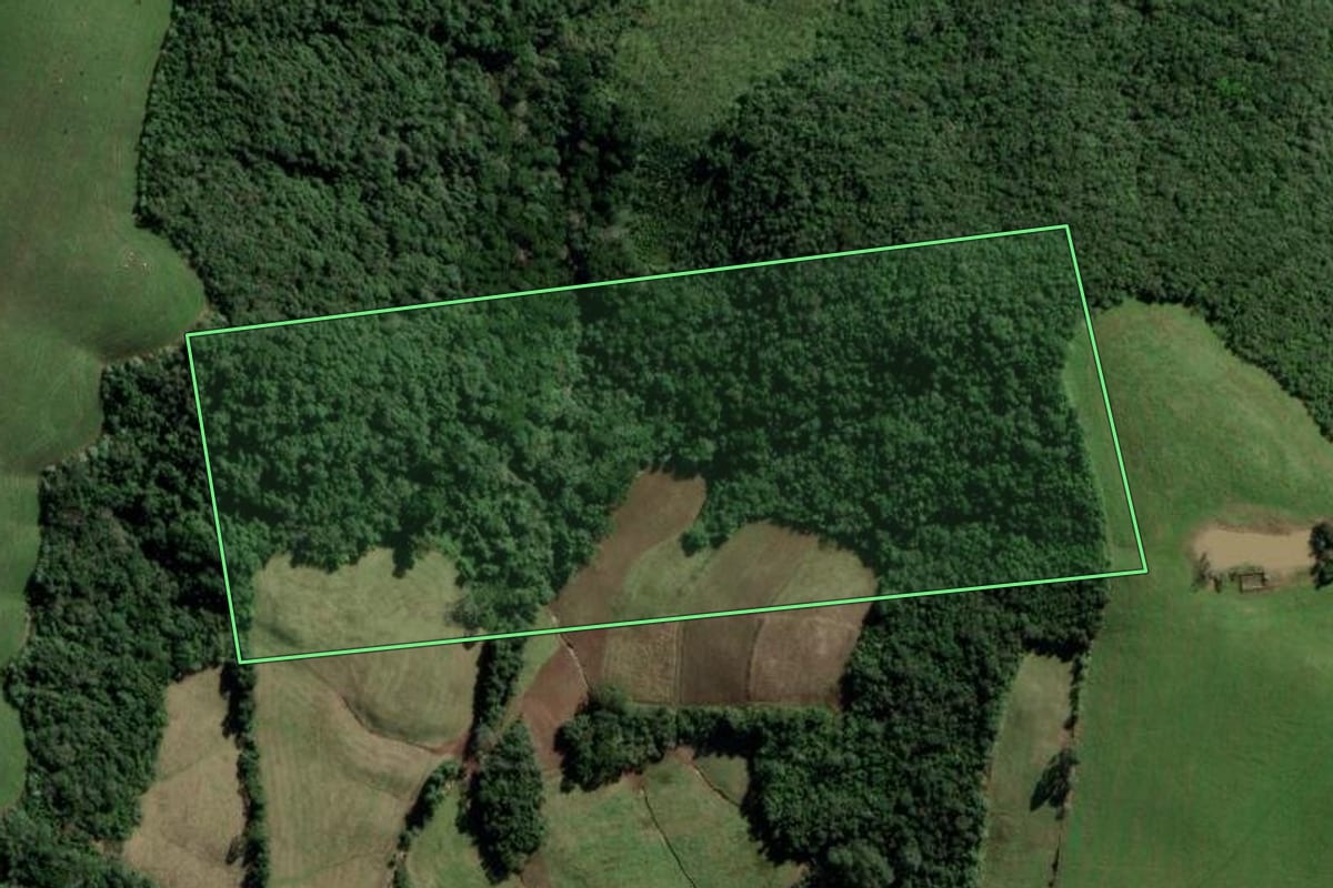 Imagem de satélite do imóvel rural em Passa Sete (RS), com o contorno declarado no CAR desenhado por cima.