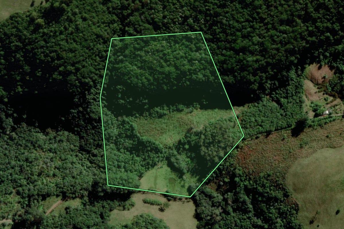 Imagem de satélite do imóvel rural em Passa Sete (RS), com o contorno declarado no CAR desenhado por cima.