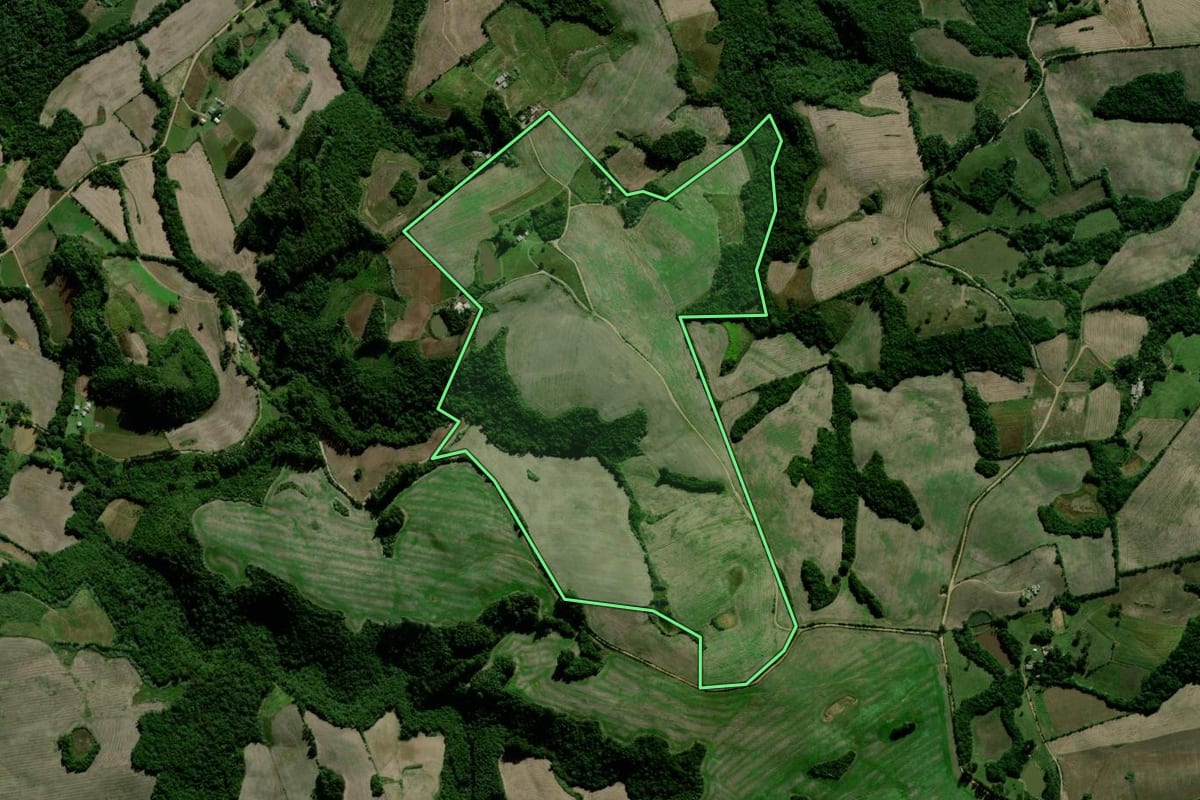 Imagem de satélite do imóvel rural em Passa Sete (RS), com o contorno declarado no CAR desenhado por cima.